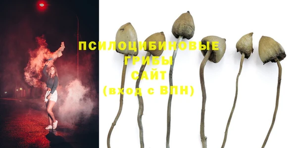 молекула духа Нея