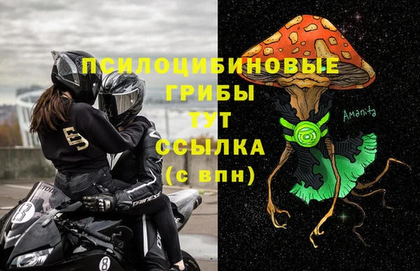 ПСИЛОЦИБИНОВЫЕ ГРИБЫ Нефтегорск